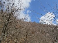 Laveno1603 470