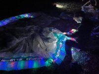 IMG-20250712-WA0019
