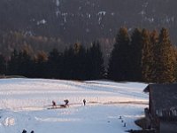 IMG-20190329-WA0010