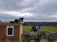 IMG-20171118-WA0009
