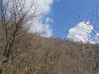 Laveno1603 470