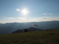 DSCF7491